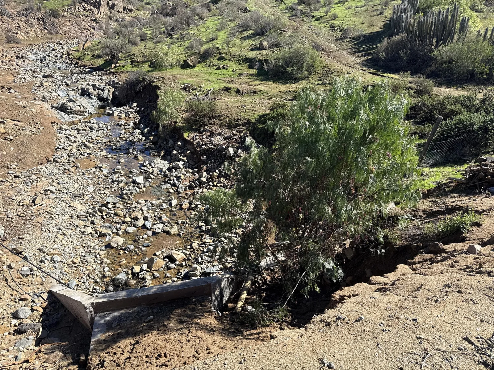 Cauce de quebrada con un cabezal de hormigón tapado por ramas caídas: hay cosas que solo se ven yendo.